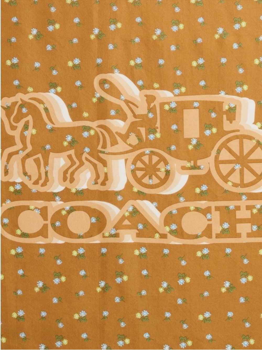 Coach Floral Carriage Logo Scarf NWT